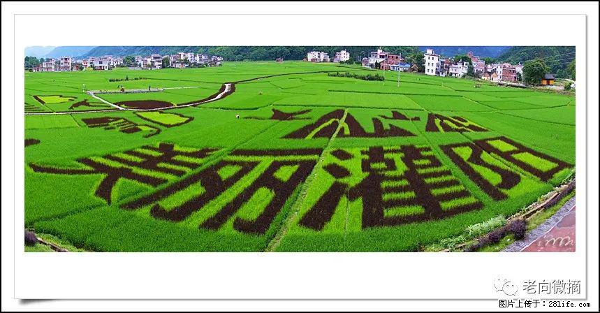 【春天,广西桂林灌阳县向您发出邀请!】开篇 - 游山玩水 - 遵义生活社区 - 遵义28生活网 zunyi.28life.com