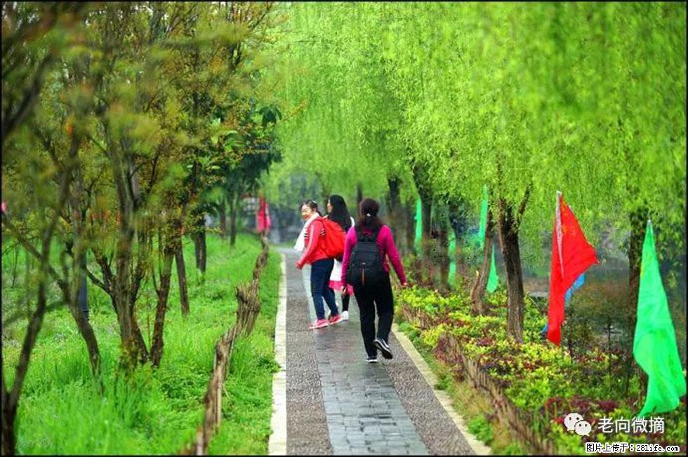 【春天,广西桂林灌阳县向您发出邀请!】江口老街又逢春 - 游山玩水 - 遵义生活社区 - 遵义28生活网 zunyi.28life.com