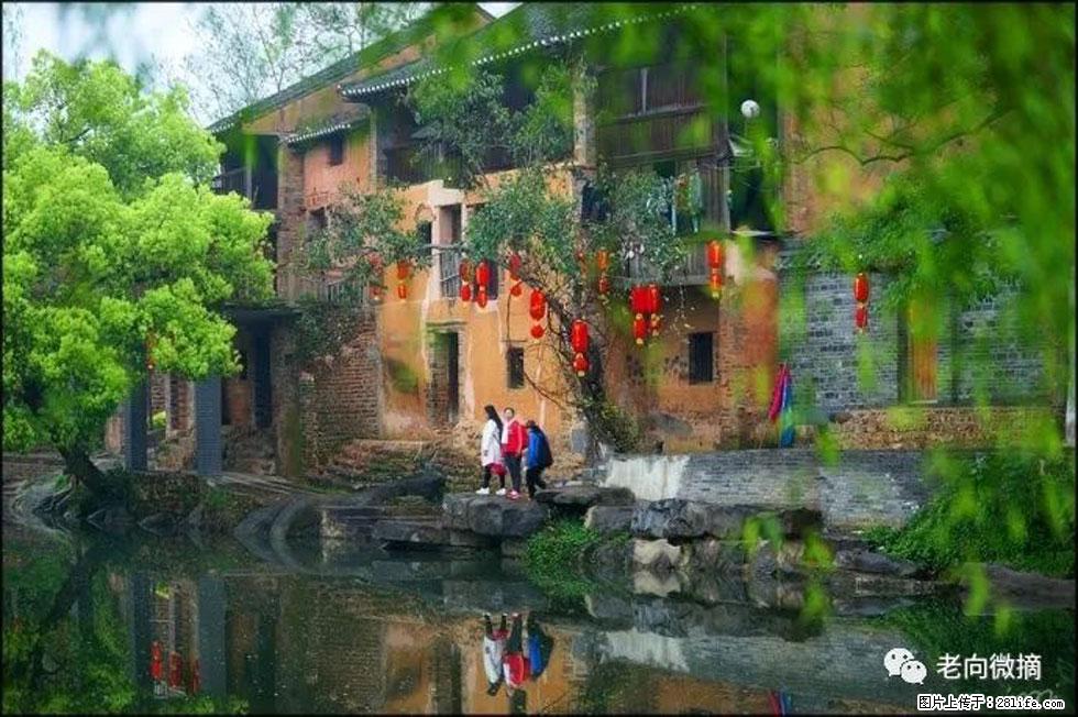 【春天,广西桂林灌阳县向您发出邀请!】江口老街又逢春 - 游山玩水 - 遵义生活社区 - 遵义28生活网 zunyi.28life.com