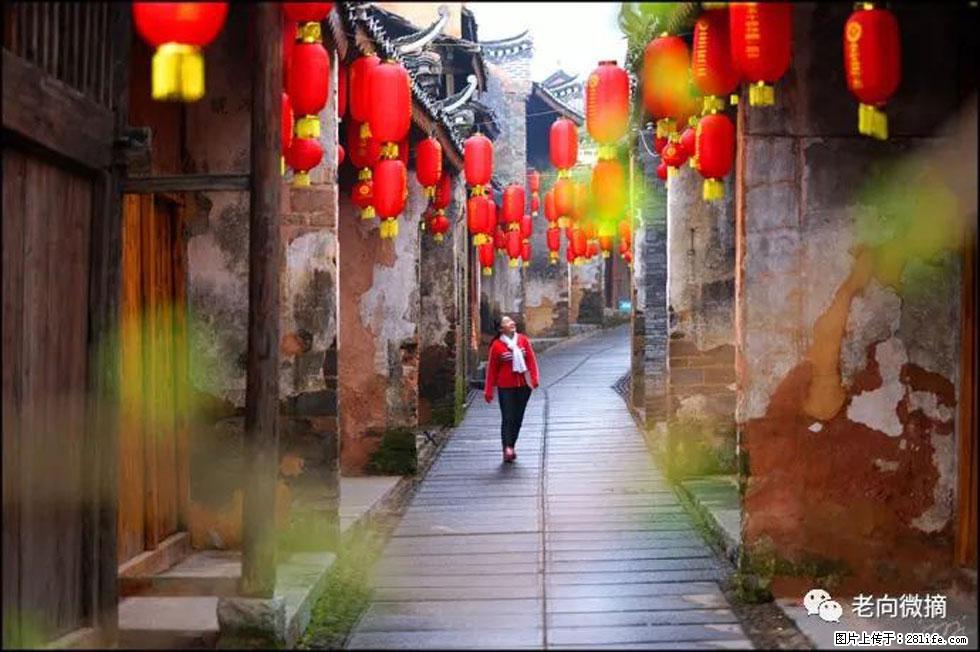 【春天,广西桂林灌阳县向您发出邀请!】江口老街又逢春 - 游山玩水 - 遵义生活社区 - 遵义28生活网 zunyi.28life.com