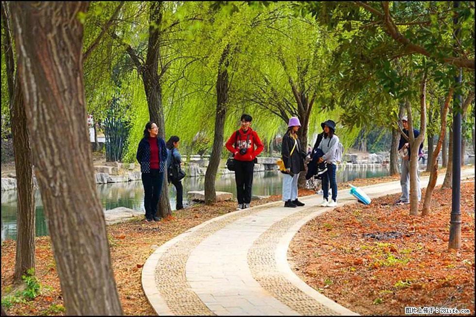 【春天,广西桂林灌阳县向您发出邀请!】江口老街又逢春 - 游山玩水 - 遵义生活社区 - 遵义28生活网 zunyi.28life.com