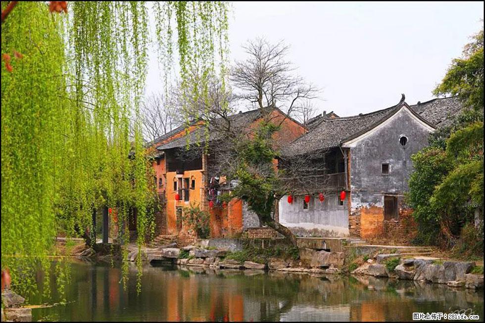 【春天,广西桂林灌阳县向您发出邀请!】江口老街又逢春 - 游山玩水 - 遵义生活社区 - 遵义28生活网 zunyi.28life.com