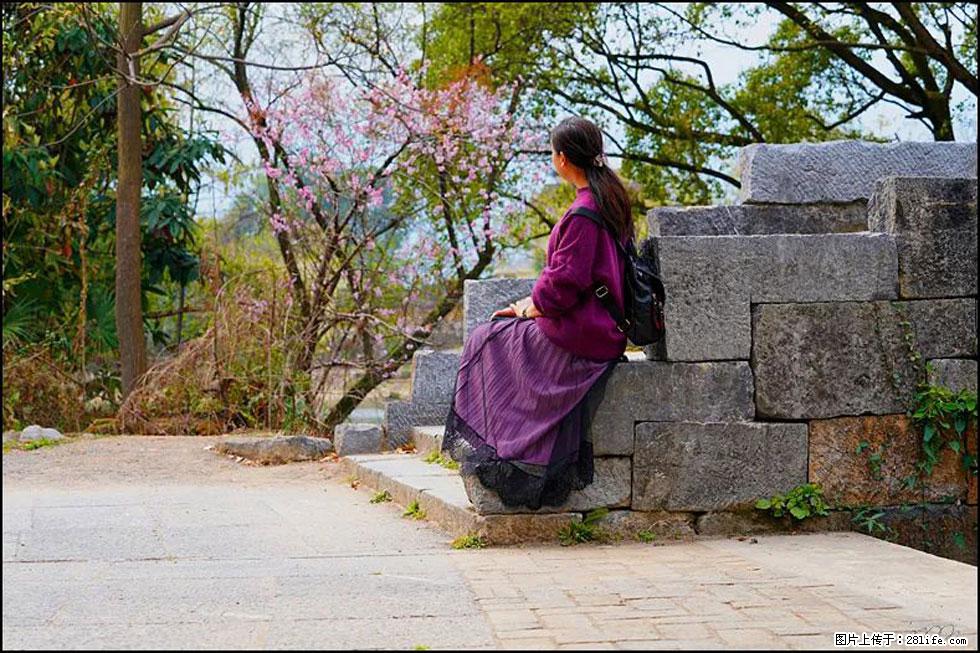 【春天,广西桂林灌阳县向您发出邀请!】江口老街又逢春 - 游山玩水 - 遵义生活社区 - 遵义28生活网 zunyi.28life.com