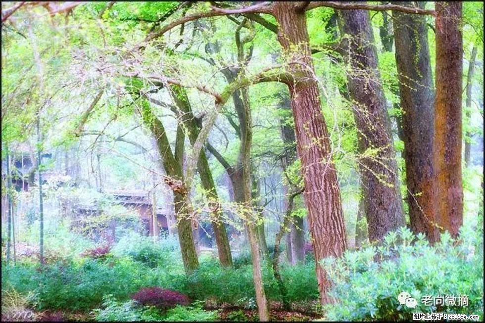 【春天,广西桂林灌阳县向您发出邀请!】在小龙村与春天约会 - 游山玩水 - 遵义生活社区 - 遵义28生活网 zunyi.28life.com