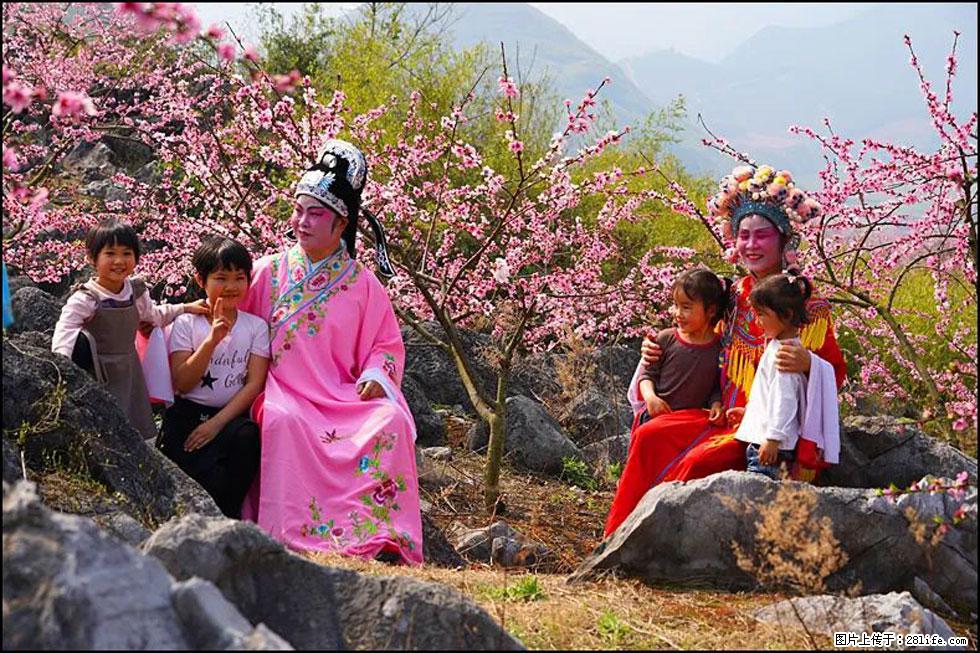 【春天,广西桂林灌阳县向您发出邀请!】望月岭上桃花开 - 游山玩水 - 遵义生活社区 - 遵义28生活网 zunyi.28life.com