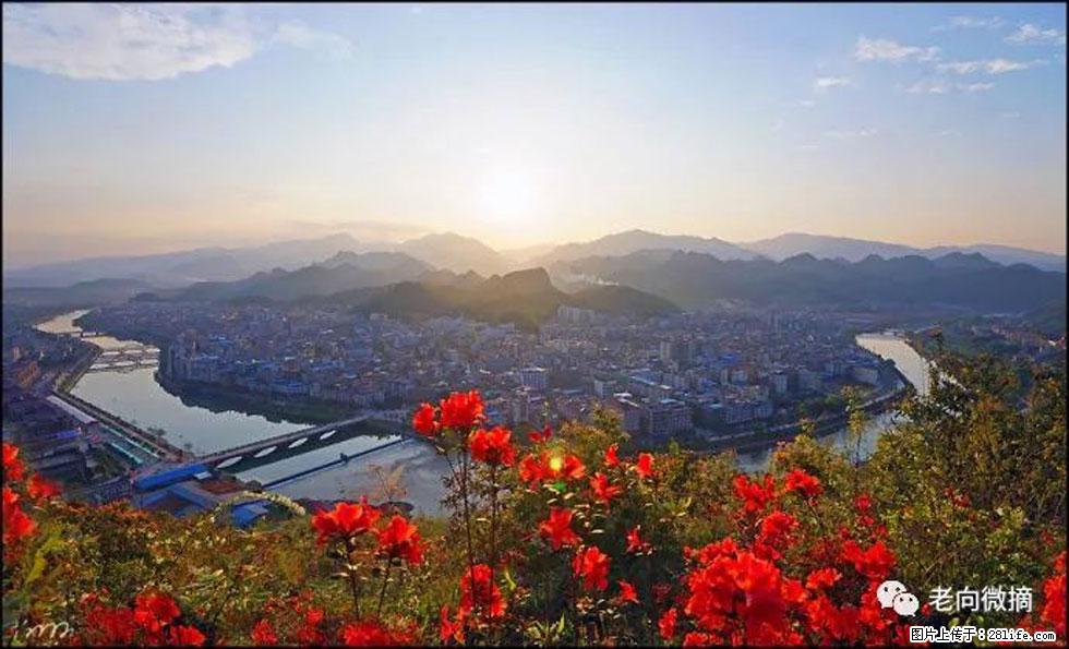 【春天,广西桂林灌阳县向您发出邀请!】登麒麟山,相约映山红 - 游山玩水 - 遵义生活社区 - 遵义28生活网 zunyi.28life.com