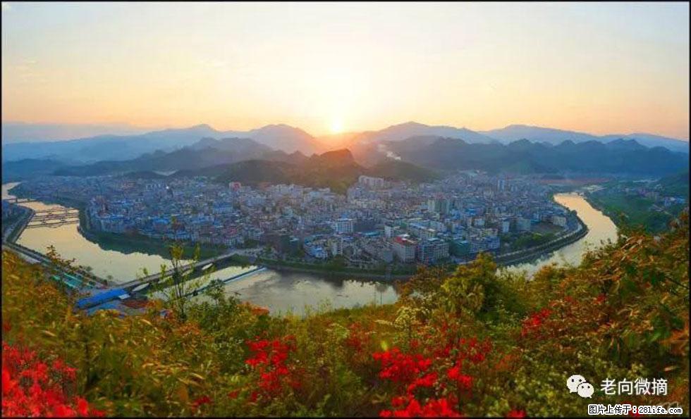 【春天,广西桂林灌阳县向您发出邀请!】登麒麟山,相约映山红 - 游山玩水 - 遵义生活社区 - 遵义28生活网 zunyi.28life.com