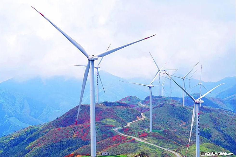 【春天，广西桂林灌阳县向您发出邀请！】春木界上映山红 - 游山玩水 - 遵义生活社区 - 遵义28生活网 zunyi.28life.com