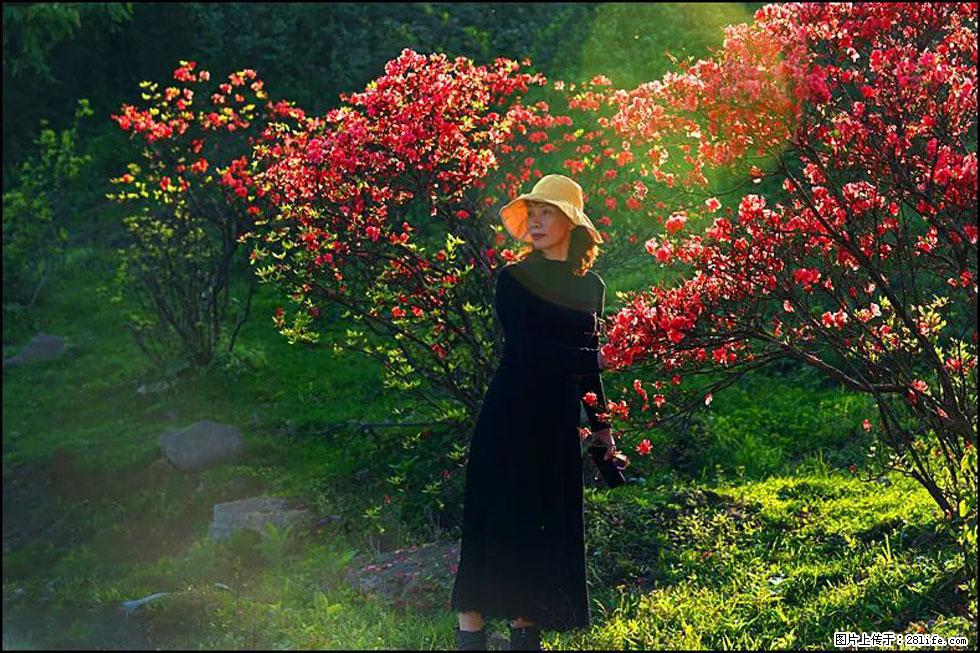 【春天，广西桂林灌阳县向您发出邀请！】春木界上映山红 - 游山玩水 - 遵义生活社区 - 遵义28生活网 zunyi.28life.com