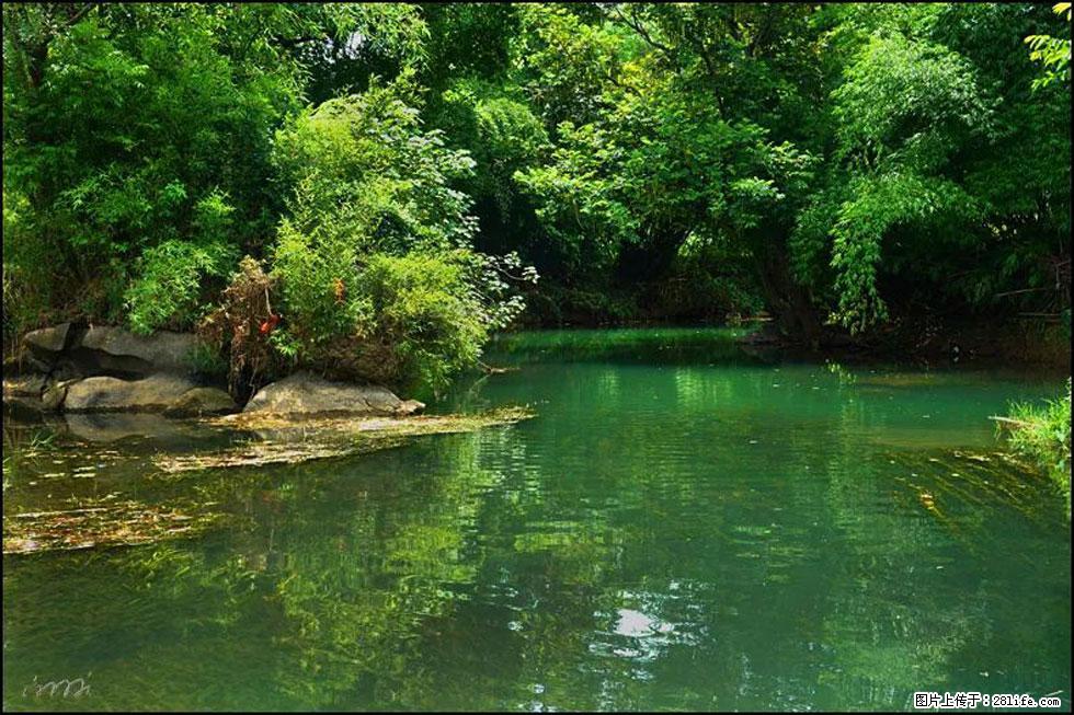 【春天,广西桂林灌阳县向您发出邀请!】如梦似幻莲溪庐 - 游山玩水 - 遵义生活社区 - 遵义28生活网 zunyi.28life.com