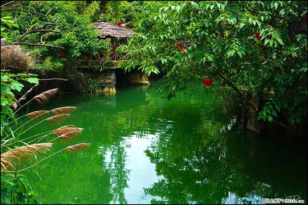 【春天,广西桂林灌阳县向您发出邀请!】如梦似幻莲溪庐 - 游山玩水 - 遵义生活社区 - 遵义28生活网 zunyi.28life.com