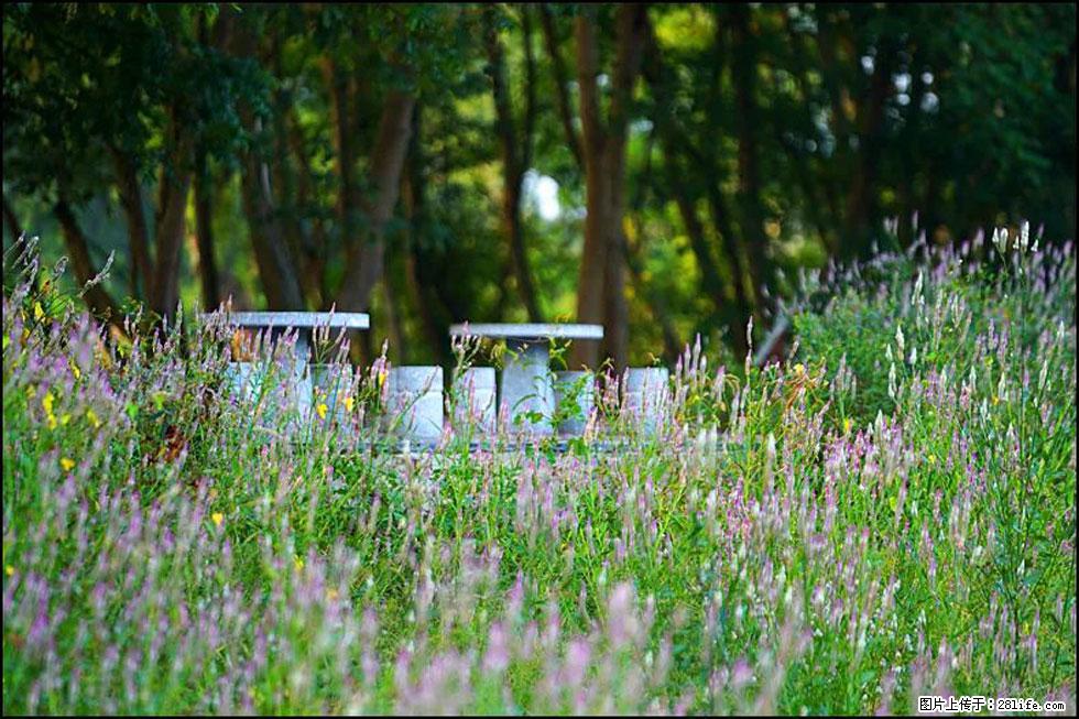 【春天,广西桂林灌阳县向您发出邀请!】熊家寨湿地公园 - 游山玩水 - 遵义生活社区 - 遵义28生活网 zunyi.28life.com