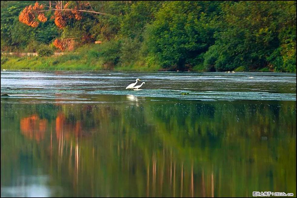 【春天,广西桂林灌阳县向您发出邀请!】熊家寨湿地公园 - 游山玩水 - 遵义生活社区 - 遵义28生活网 zunyi.28life.com