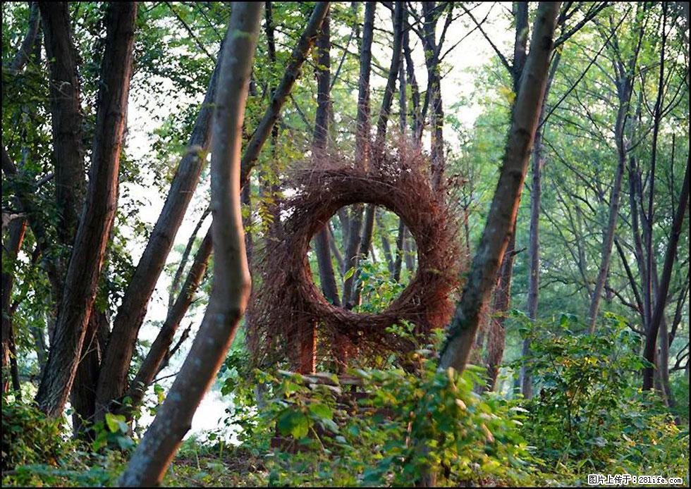 【春天,广西桂林灌阳县向您发出邀请!】熊家寨湿地公园 - 游山玩水 - 遵义生活社区 - 遵义28生活网 zunyi.28life.com