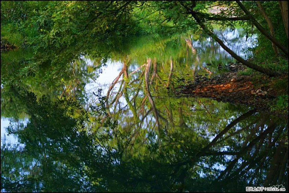 【春天,广西桂林灌阳县向您发出邀请!】熊家寨湿地公园 - 游山玩水 - 遵义生活社区 - 遵义28生活网 zunyi.28life.com