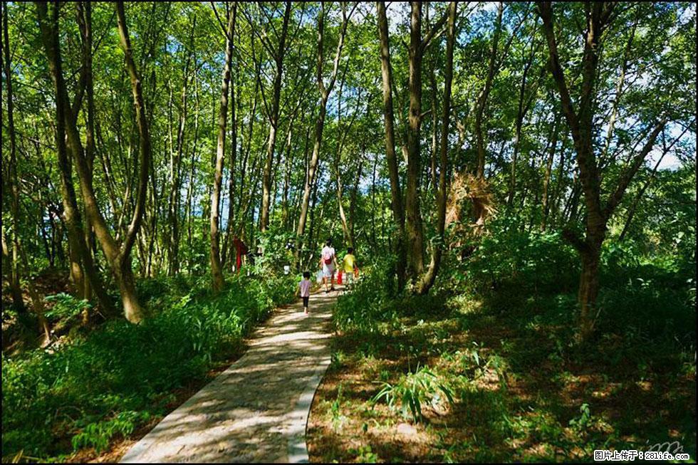 【春天,广西桂林灌阳县向您发出邀请!】熊家寨湿地公园 - 游山玩水 - 遵义生活社区 - 遵义28生活网 zunyi.28life.com