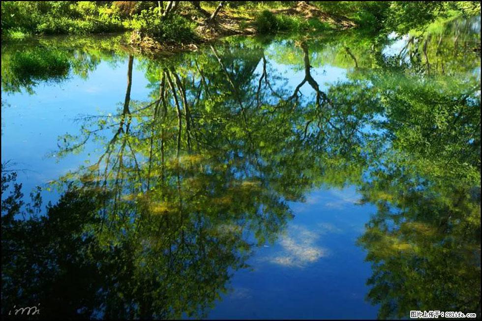 【春天,广西桂林灌阳县向您发出邀请!】熊家寨湿地公园 - 游山玩水 - 遵义生活社区 - 遵义28生活网 zunyi.28life.com