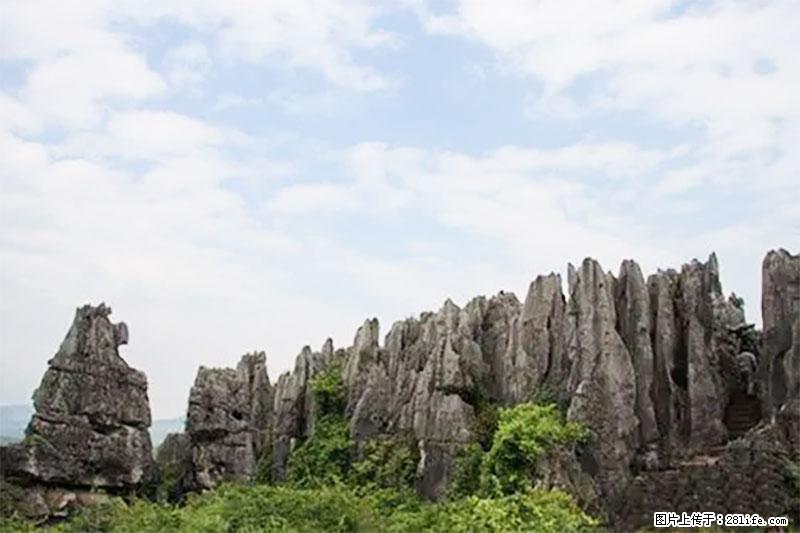 桂林旅游名城景点:灌阳文市石林 - 游山玩水 - 遵义生活社区 - 遵义28生活网 zunyi.28life.com