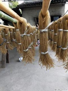 【灌阳正宗红薯粉】美女家里自己做的，干净卫生，假一赔十，价格合理，抢购电话：13737312895 - 遵义28生活网 zunyi.28life.com