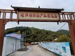 【灌阳县油茶产业示范区】一个有着充实的精神生活的人，对待身外之物自会有一种淡泊的态度 - 遵义28生活网 zunyi.28life.com