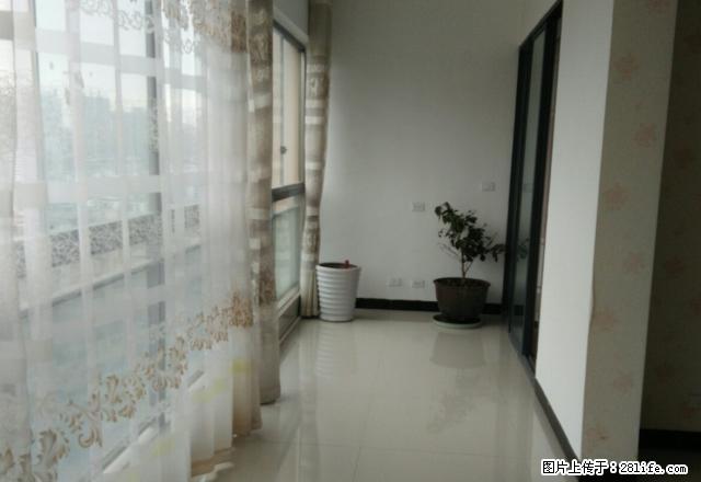 珠海路万豪国际好房出租 - 房屋出租 - 房屋租售 - 遵义分类信息 - 遵义28生活网 zunyi.28life.com