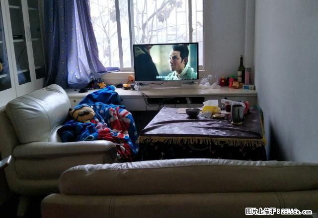 宁波路维也纳春天繁华路段毗邻海珠商圈家电齐全拎包入住价格实惠 - 房屋出租 - 房屋租售 - 遵义分类信息 - 遵义28生活网 zunyi.28life.com