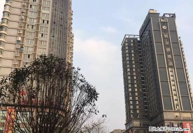 中华路名酒城2室2厅精装电梯房家电齐全设施安保齐全停车方便 - 房屋出租 - 房屋租售 - 遵义分类信息 - 遵义28生活网 zunyi.28life.com