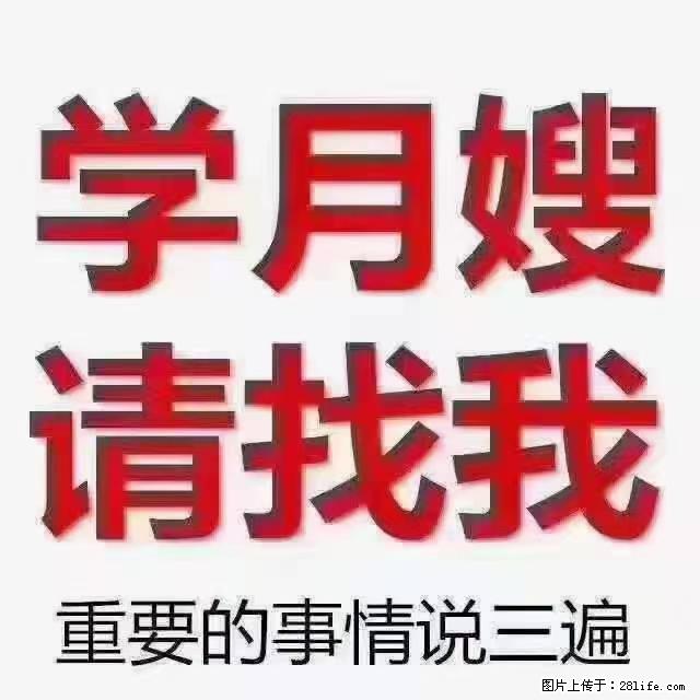 【招聘】月嫂,上海徐汇区 - 职场交流 - 遵义生活社区 - 遵义28生活网 zunyi.28life.com