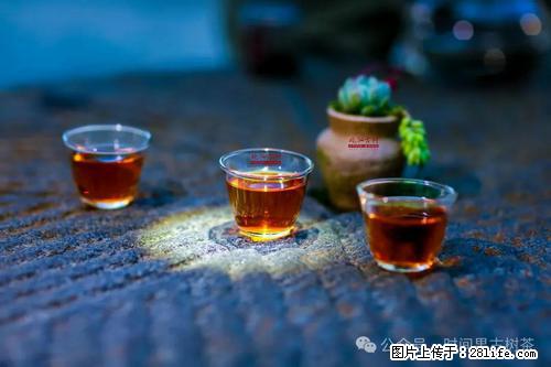 时间果百年古树2025年春红茶 - 购物交流 - 遵义生活社区 - 遵义28生活网 zunyi.28life.com