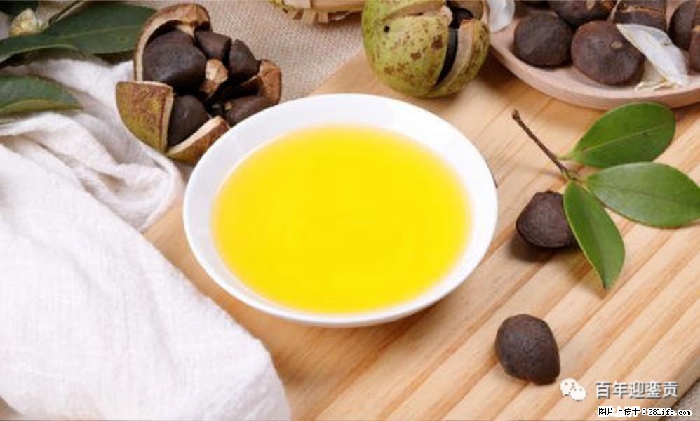 揭秘茶油的5大核心营养成分！被称为人体健康的“守护盾”！ - 遵义生活资讯 - 遵义28生活网 zunyi.28life.com