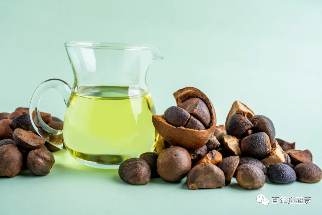 世界没有真相,只有认知,最好的食用油是中国的山茶油! - 遵义生活资讯 - 遵义28生活网 zunyi.28life.com