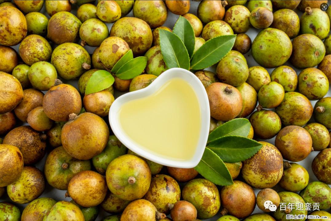 世界没有真相,只有认知,最好的食用油是中国的山茶油! - 遵义生活资讯 - 遵义28生活网 zunyi.28life.com