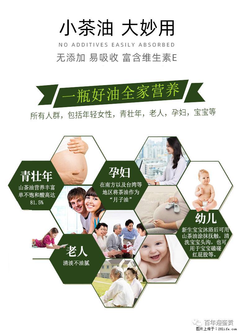 世界没有真相,只有认知,最好的食用油是中国的山茶油! - 遵义生活资讯 - 遵义28生活网 zunyi.28life.com