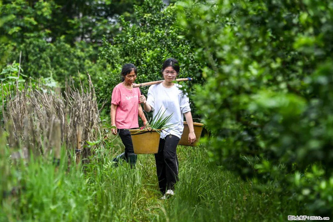 全网追的“扁担女孩”，找了一份暑假工，时薪12元 - 遵义生活资讯 - 遵义28生活网 zunyi.28life.com