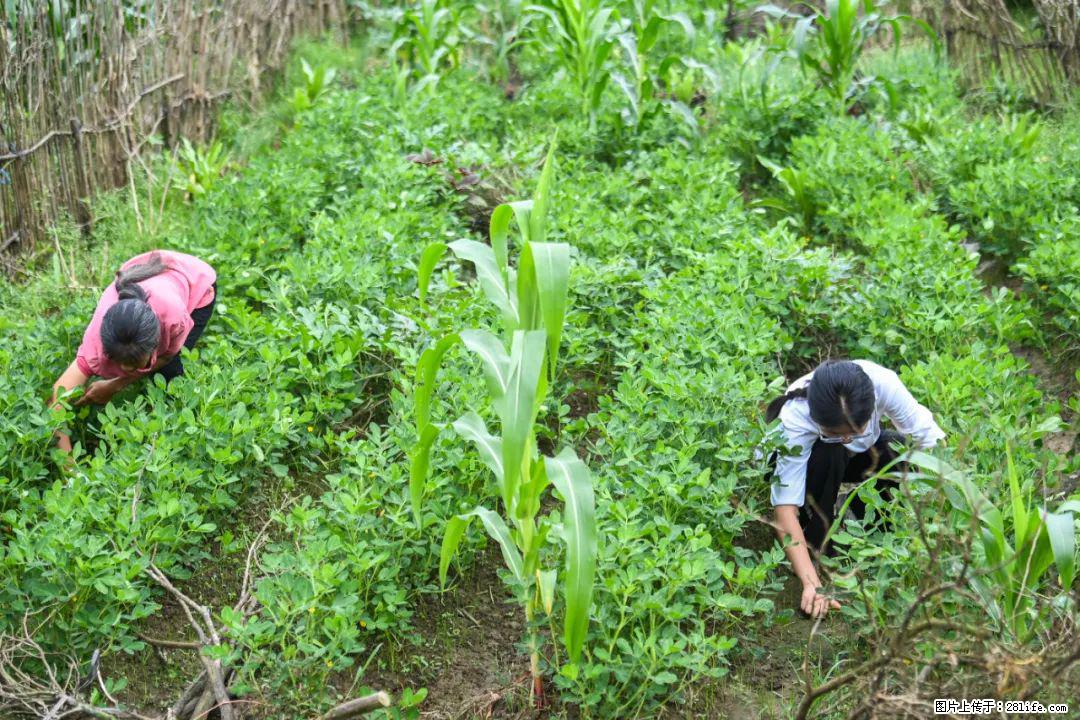 全网追的“扁担女孩”，找了一份暑假工，时薪12元 - 遵义生活资讯 - 遵义28生活网 zunyi.28life.com