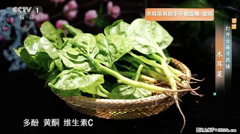 比牛奶补钙还厉害!凉血解毒、稳血糖...这菜冬天必吃,很多人却当草 - 遵义生活资讯 - 遵义28生活网 zunyi.28life.com